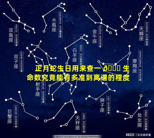 正月蛇生日用来查一 🐛 生命数究竟能有多准到离谱的程度